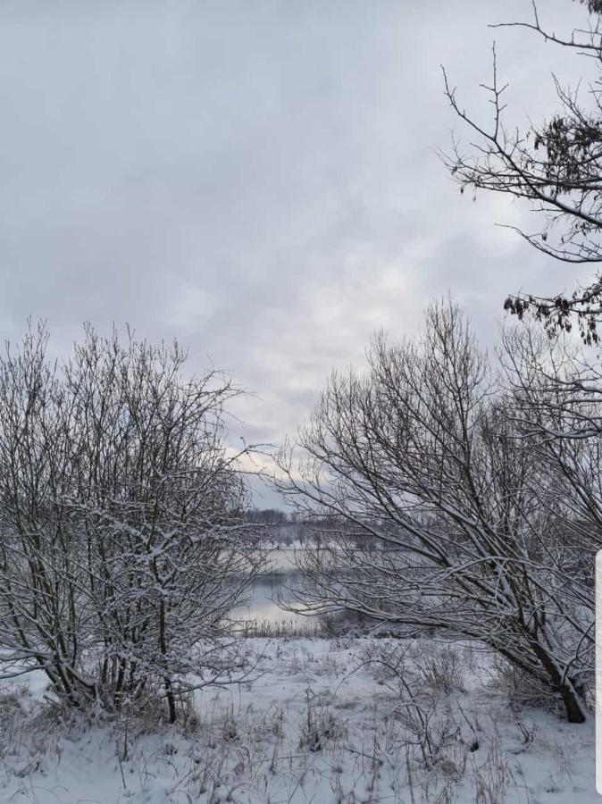 "Altes Stellwerk Frose" Am Froser See Dış mekan fotoğraf
